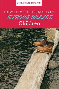 strong willed child